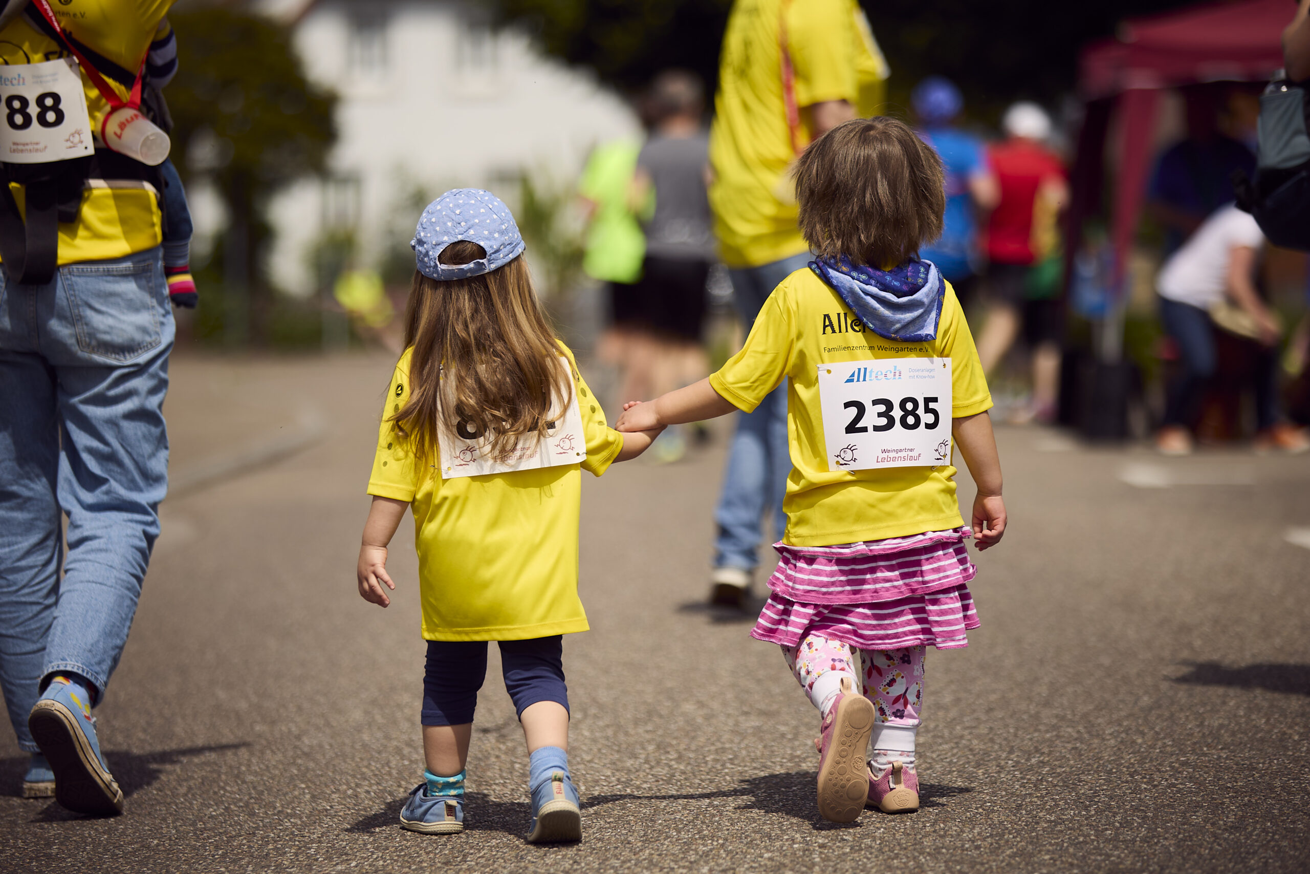 Weingartner Lebenslauf 2025